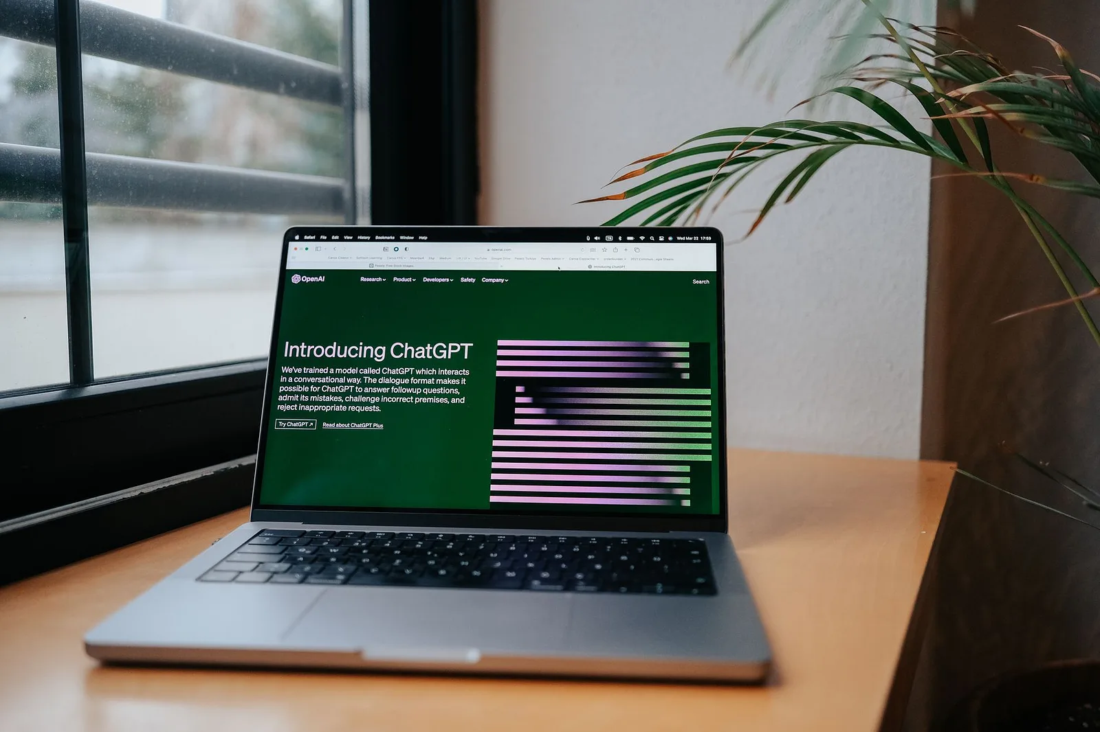 Laptop displaying ChatGPT on a desk beside a plant